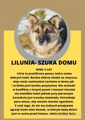 przepiekna-i-pozytywnie-nastawiona-do-swiata-lilunia-51276-zdjecia.jpg