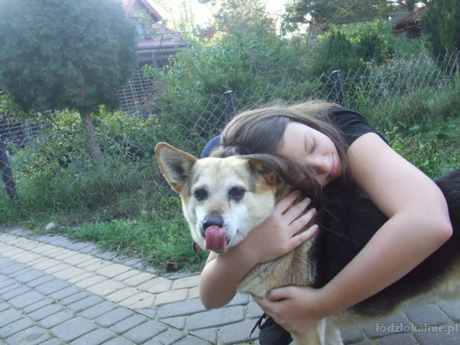rex-niewielki-lagodny-psiak-szuka-pilnie-ds-lub-dt-52942-psy.jpg