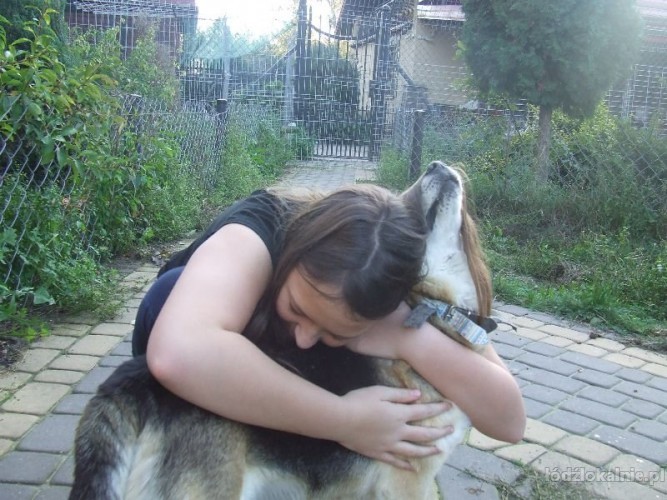 rex-przemily-wesoly-psiak-szuka-domu-tymczasowego-54287-sprzedam.jpg