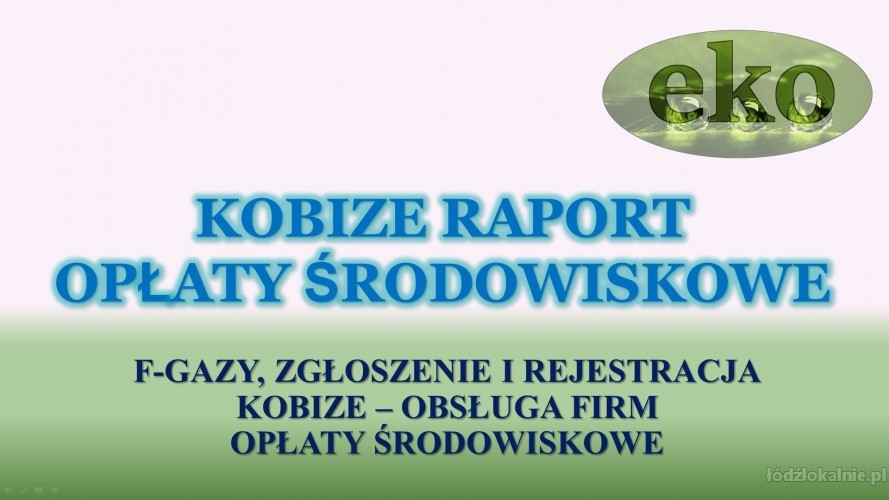 8_ochrona_srodowiska_obsluga_firm.jpg