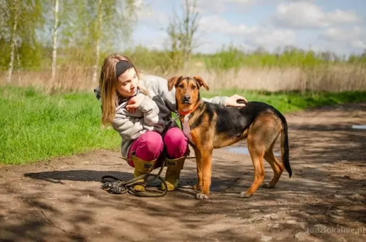 mlody-aleks-fantastyczny-grzeczny-psiak-60128-zdjecia.webp