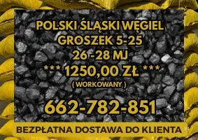 Polski Węgiel Transport Gratis ! Łódź / GROSZEK 5-25, 26-28MJ