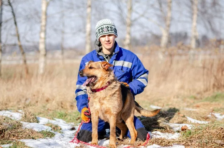 kufel-fantastyczny-szorstkowlosy-psiak-szuka-domu-72579-psy.webp