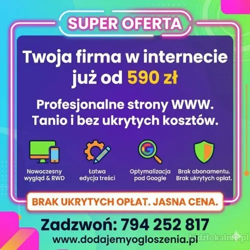 strona-internetowa-juz-od-590-zl-bez-przeplacania-dodawanie-ogloszen-72741-lodz.webp